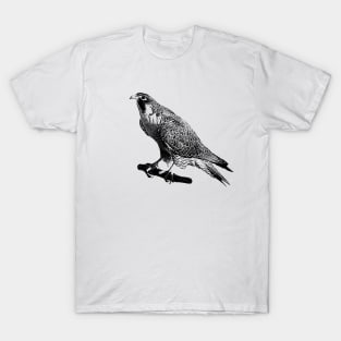 Falcon T-Shirt